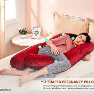 Pregnancy Pillow